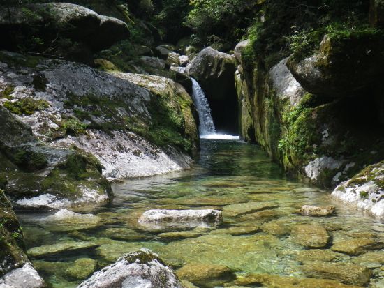 秘境ヤクスギランドの半日コース　ファミリーにもおすすめ！3歳からOK＜宮之浦～安房～尾之間エリア送迎／午前・午後＞ by 屋久島らんぶりん