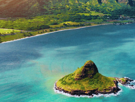 See the Mokoliʻi during the tour