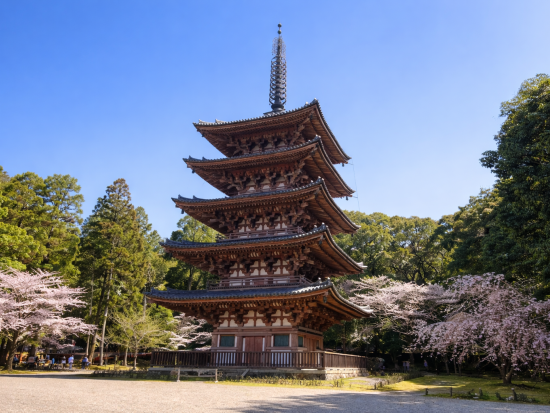 【期間限定】桜咲く京都日帰り旅 嵐山＋伏見＋石舟＋世界遺産舟自由散策 醍醐寺＜大阪・京都発着＞