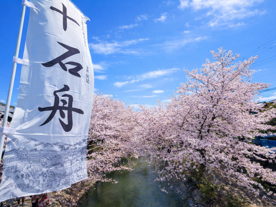 【期間限定】桜咲く京都日帰り旅 嵐山＋伏見＋石舟＋世界遺産舟自由散策 醍醐寺＜大阪・京都発着＞