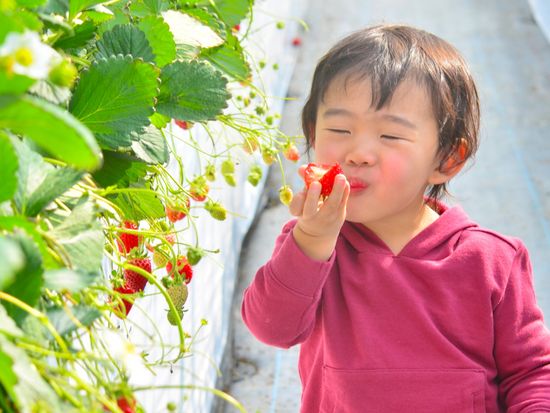 64ab1e5c0e129ff51519fcea1ac681e