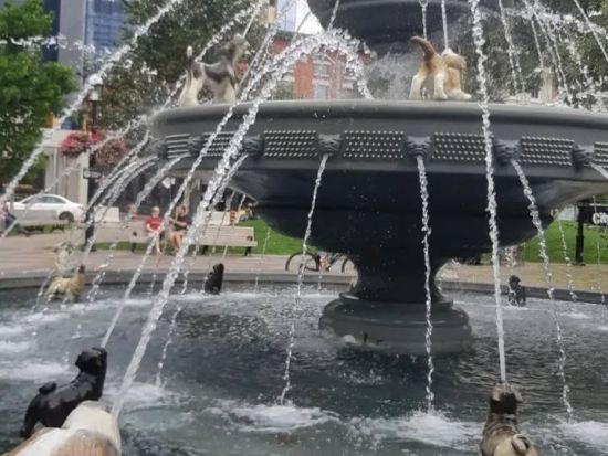 トロント半日市内観光ツアー　ユニオン駅周辺＋セントローレンスマーケットを巡る＜3時間／混載／日本語ガイド＞