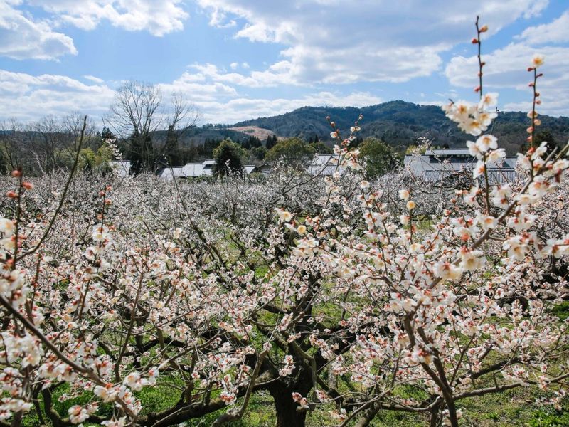 24bc33a37e7a7ef30350e4ba99a5dfc8