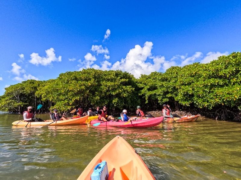 GOPR7003・更新用