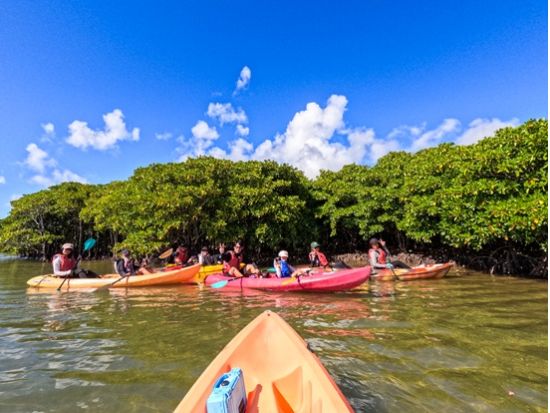 沖縄県カヤック・カヌー協会公認ガイドと億首川マングローブ→海→ローカルビーチ上陸！3歳～シニアOK、初心者も2回目も◎ネイチャーツアー♪GoPro無料撮影付