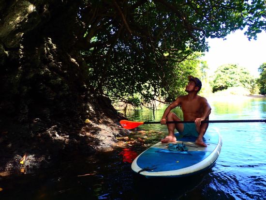 秘境のマングローブSUP体験 石垣島の神秘を巡る 写真データ無料＆南部エリア送迎付き＜石垣島／3時間＞