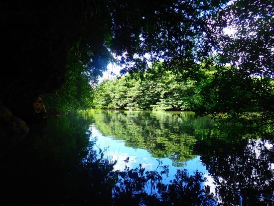 秘境のマングローブSUP体験 石垣島の神秘を巡る 写真データ無料＆南部エリア送迎付き＜石垣島／3時間＞