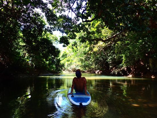 秘境のマングローブSUP体験 石垣島の神秘を巡る 写真データ無料＆南部エリア送迎付き＜石垣島／3時間＞