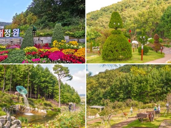 北朝鮮展望とレトロ市場めぐりツアー　北朝鮮が見えるスタバ＆愛妓峰平和生態公園＆喬桐島大龍市場＆花開庭園 ＜昼食付き／日本語ガイド＞
