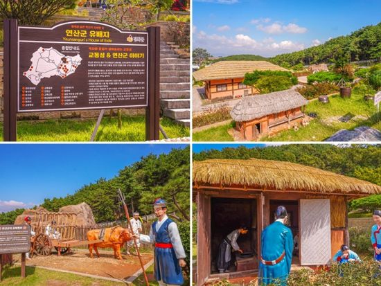 北朝鮮展望とレトロ市場めぐりツアー　北朝鮮が見えるスタバ＆愛妓峰平和生態公園＆喬桐島大龍市場＆花開庭園 ＜昼食付き／日本語ガイド＞