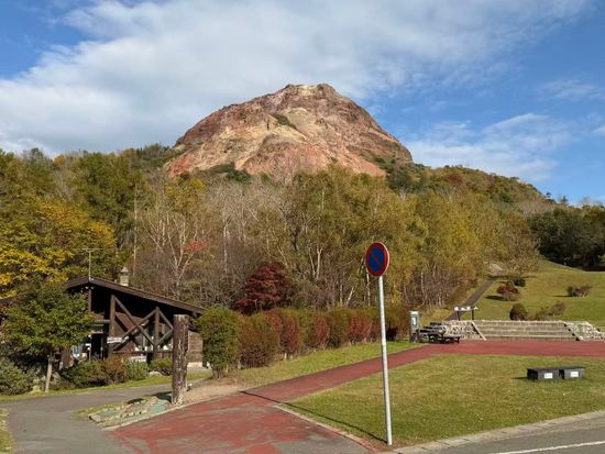 图片_20251204141154_39_2