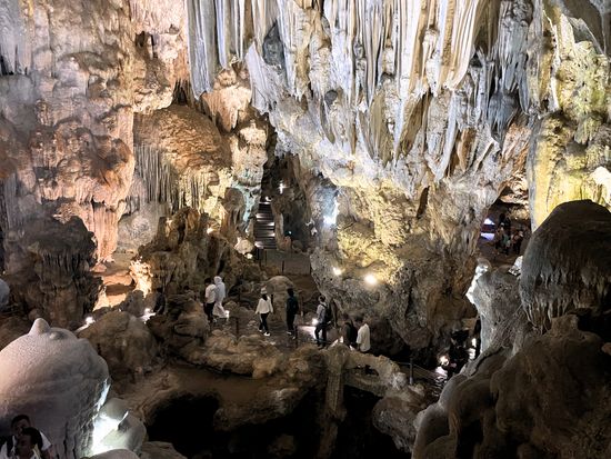 d27f2e9e-e8ea-4571-94e8-bd41c5495aba