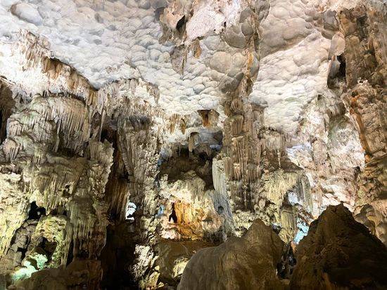 9002dd7a-f3a4-4c59-8094-fa461a854831