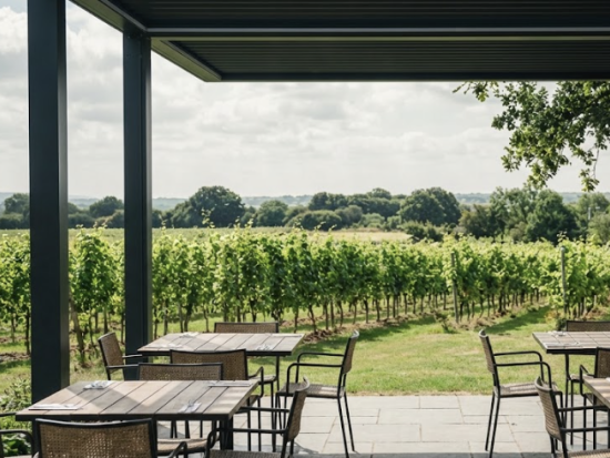 [ロンドン発着/完全プライベート]ワインの旅！イングランド南東部ワイナリー巡り＜専用車/日本人アシスタント/ホテル送迎（空港可能）＞by とらベアトラベル