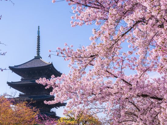 Japan_Kyoto_Toji_pixta_31559281