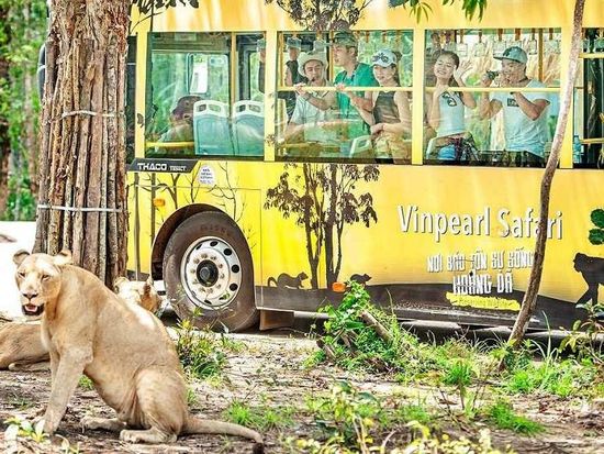 M2yBEaN8-Vinpearl-Safari-PhuQuoc-21