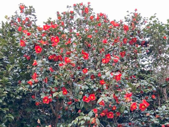 567ad678f40fab25a1619b67074f6690-1080x698