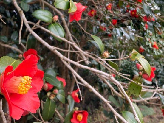 0eb07767e6390af56de23d1d7bdaee77