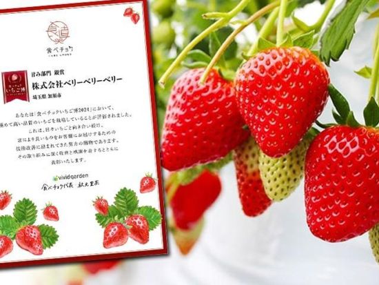 横浜発春旅バスツアー 古河桃まつり桃源郷散策＋いちご狩り食べ比べ30分食べ放題＋佐野アウトレット＜3月／茨城＞