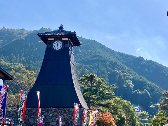 【期間限定】花のじゅうたんと出石城下町、白井大町藤公園 花名所巡り日帰りツアー＜大阪発着＞