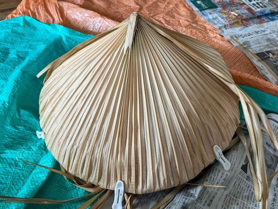 伊平屋島の伝統を未来へ　実用性100％クバ笠づくり体験＜3時間／中学生以上／毎日開催／伊平屋＞