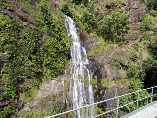 世界遺産キュランダ（鉄道＆スカイレール）ガイドなしの自由探索プラン＜現地集合＞