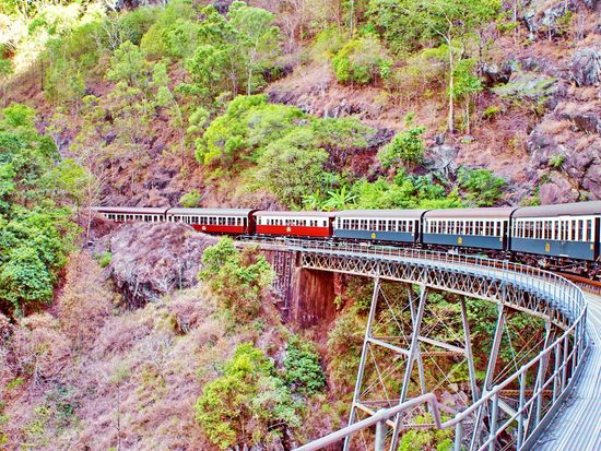 Australia_Cairns_Kuranda Rainforest_shutterstock_419894968