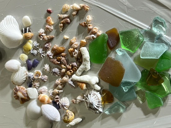 スクリーンショット 2026-02-05 115336