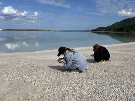 スクリーンショット 2026-02-05 115239