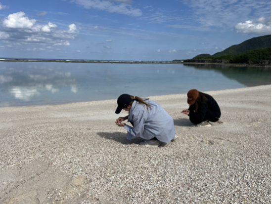 伊平屋島の海が育てた素材で砂浜キャンバスアートづくり＜3時間／中学生以上／毎日開催／伊平屋＞