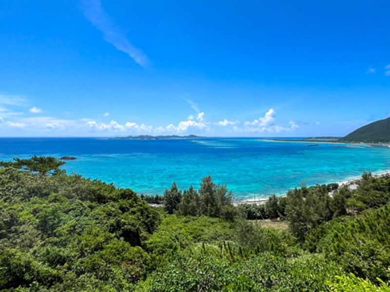 スクリーンショット 2026-02-05 133226