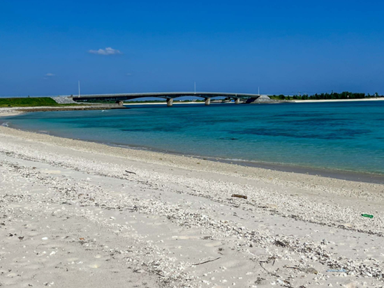 スクリーンショット 2026-02-05 133206