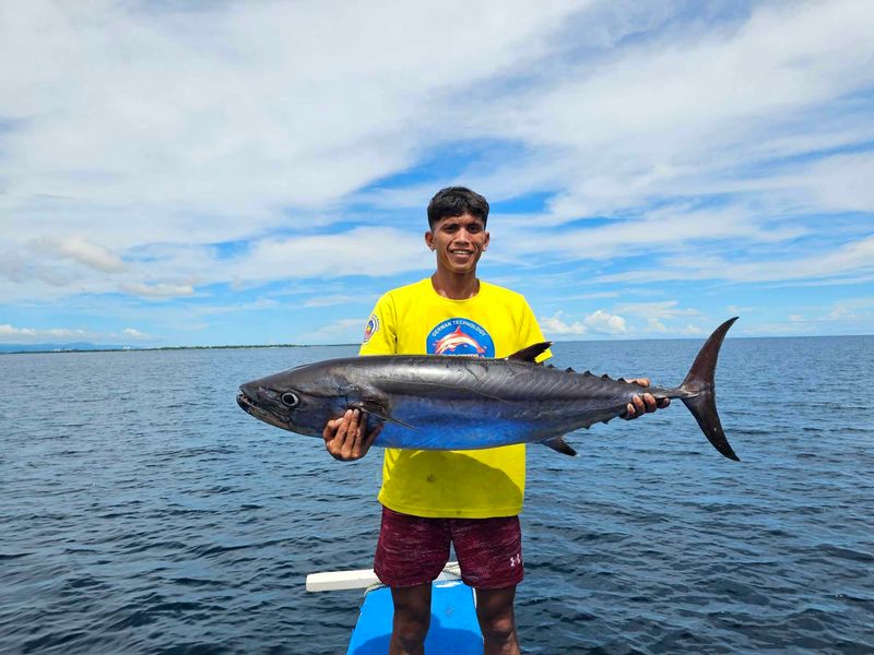 att.bVUeNWuXUzn0gRJB1npw8ZOF_dq5WPfW4GHrprVeCX4