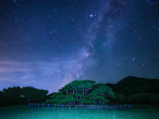 スクリーンショット 2026-02-05 142610