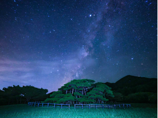 伊平屋島で漁師の家に泊まる　まんくやー民泊体験＆鮮魚グルメ＜1泊／夕朝食付／伊予島＞