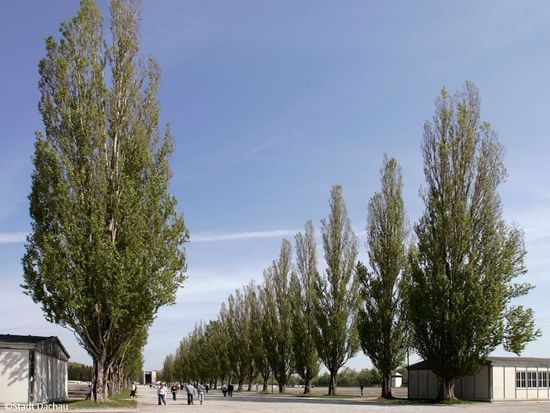 ダッハウ強制収容所 半日見学ツアー＜日本語ガイド／午前or午後／ミュンヘン発＞ by [みゅう]の写真4