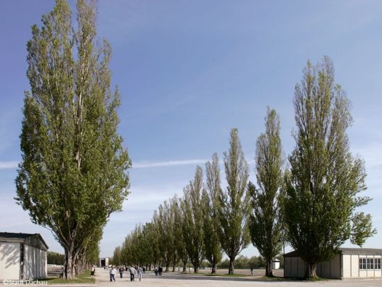 ダッハウ強制収容所 半日見学ツアー＜日本語ガイド／午前or午後／ミュンヘン発＞ by [みゅう]