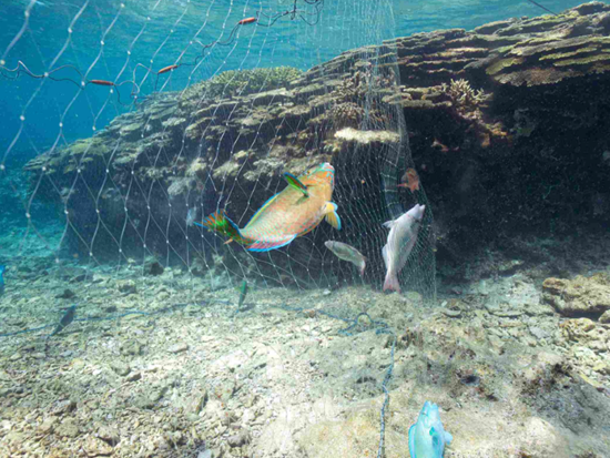 スクリーンショット 2026-02-05 150202