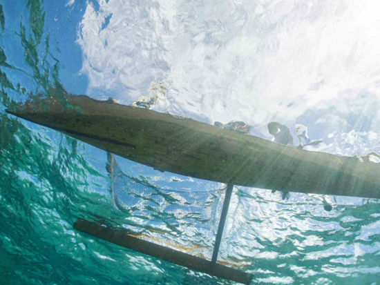 スクリーンショット 2026-02-05 145946