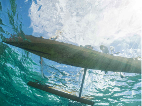 伊平屋島の海で伝統漁体験！サバニで行く追込み漁と魚料理＜4時間／中学生以上／夏季限定／伊平屋＞