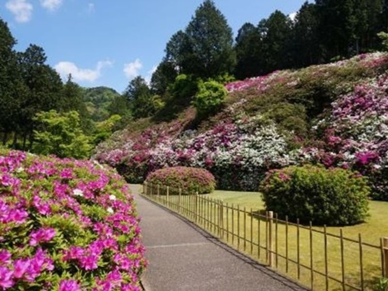 D2_03_20260116135350