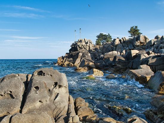 人気K-POPグループロケ地ツアー　能登波台（ヌンパデ）＋バス停＋ロケ地でランチ＜1日／1名参加OK／選べる出発地／英語＞ 