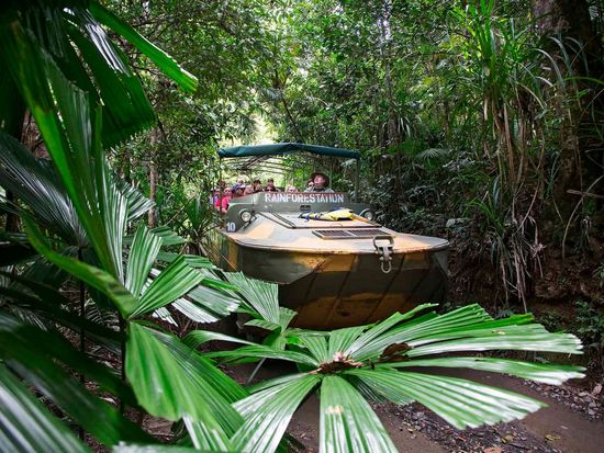 20241213082601_1310418924_341_0