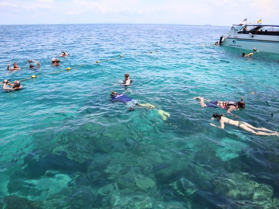 トンサイベイ沖にてスノーケリング (2)