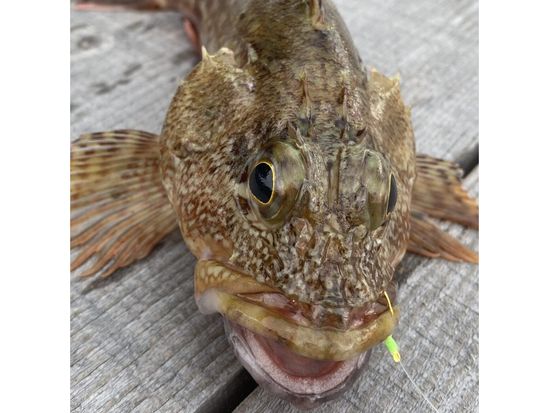 1764910820720-1152x1536