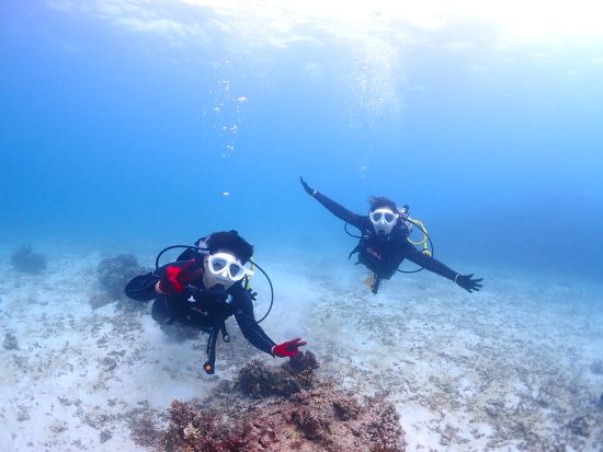 【石垣島・1日】体験ダイビングとウミガメシュノーケリングの１日満喫プラン。追加でダイビング可能。女性インストラクターがご案内します！