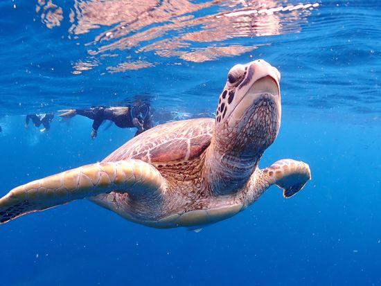 20211001_005605000_iOS