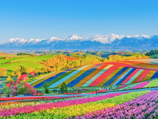 螢幕快照 2025-09-03 下午1.41.54