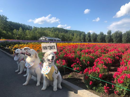 图片_20260204121829_314_82