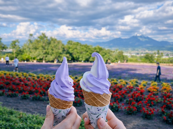 ChatGPT Image 2026年2月4日 12_26_13